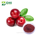 Bilberry Extract Vaccinium Myrtillus L.36% Anthocyanin